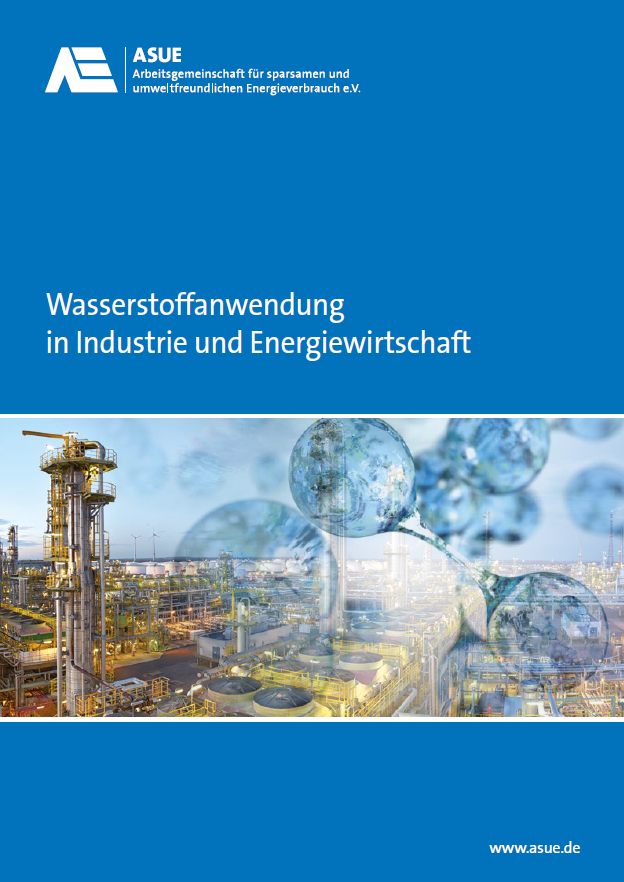 Wasserstoffanwendung in Industrie und Energiewirtschaft